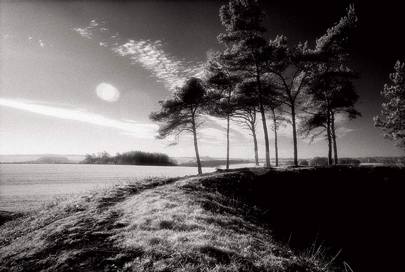 Profound but intangible: Scutchamer Knob on the Ridgeway Path of the Berkshire Downs.