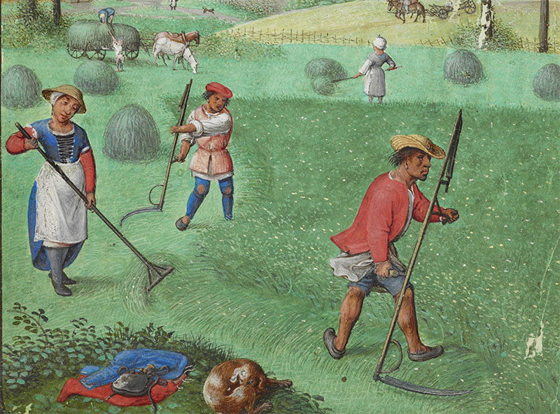 Time stands still: haymaking in July, from the Book of Hours, France, 1510-25.