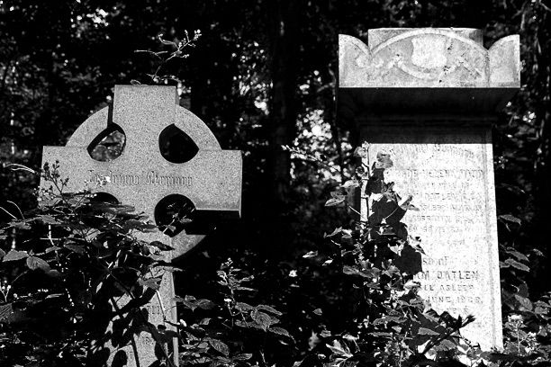 A graveyard in Abney Park, north London