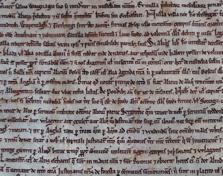 The Salisbury Magna Carta