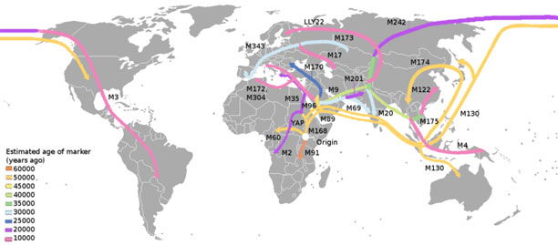 A schematic showing the spreading of humans in history. The schematic is made based on an image in the magazine "Natuurwetenschap en techniek", October 2009. By KVDP