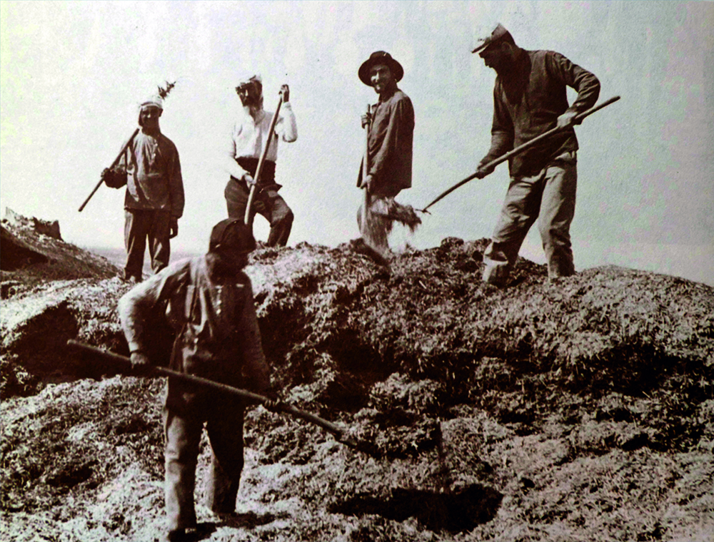Jewish immigrants to Palestine working in the fields.