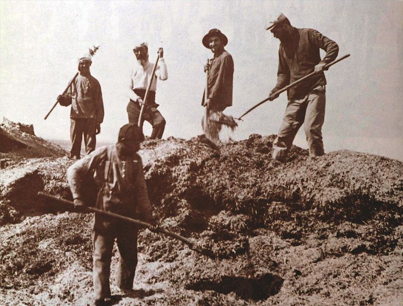 Inmigrantes judíos a Palestina trabajando en el campo, principios del siglo XX. Historia Mundial Archvie / Alamy Foto de archivo. 