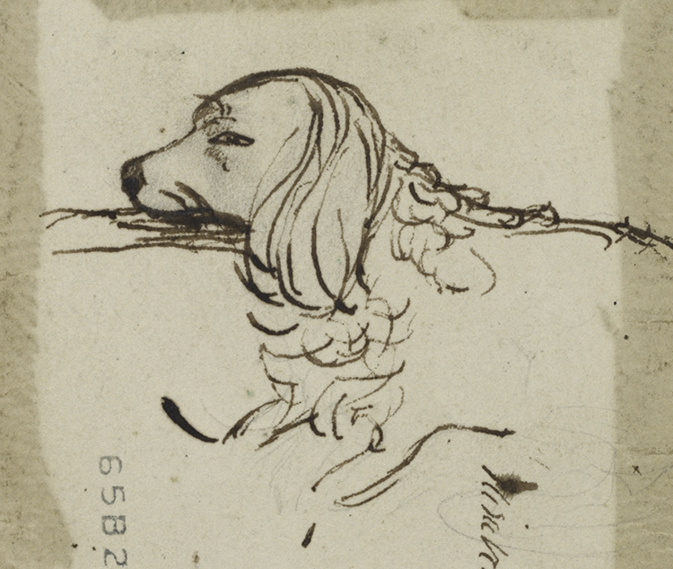 Original pencil sketch of Elizabeth Barrett Browning's dog, Flush, 1843.