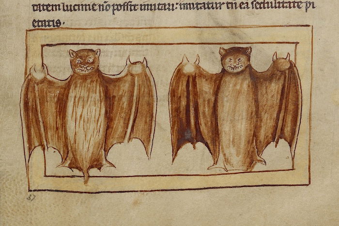 Bats in the Northumberland Bestiary, c.1250-60.