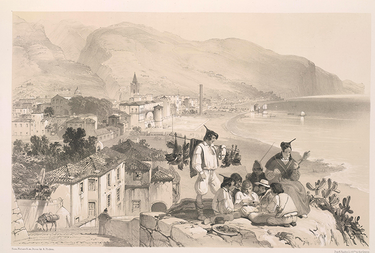 Coastal view, Madeira, by A. Picken, 1840.