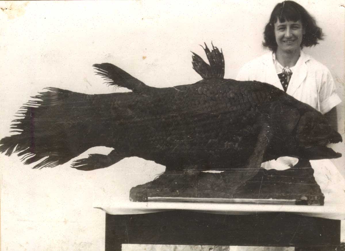 Marjorie Courtenay-Latimer and coelacanth, c.1938.