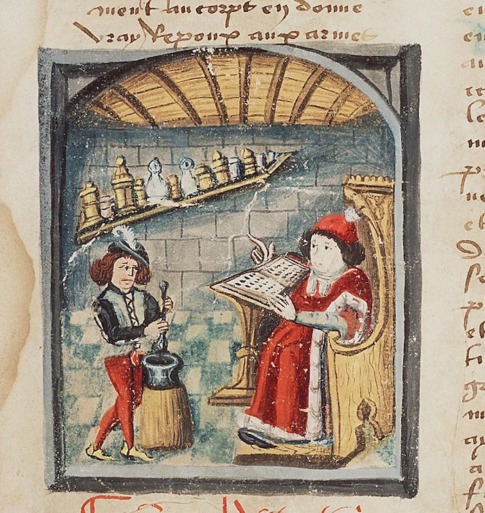Physician reading a book and his apprentice preparing medicine, c.1450. KB, National Library of the Netherlands. Public Domain.