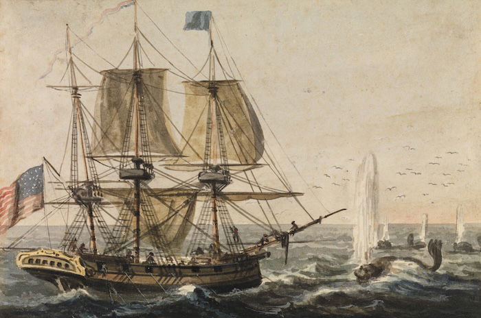 Replenishing the Ship's Larder with Codfish off the Newfoundland Coast, Pavel Petrovich Svinin, c.1811-13. Metropolitan Museum of Art. Public Domain.