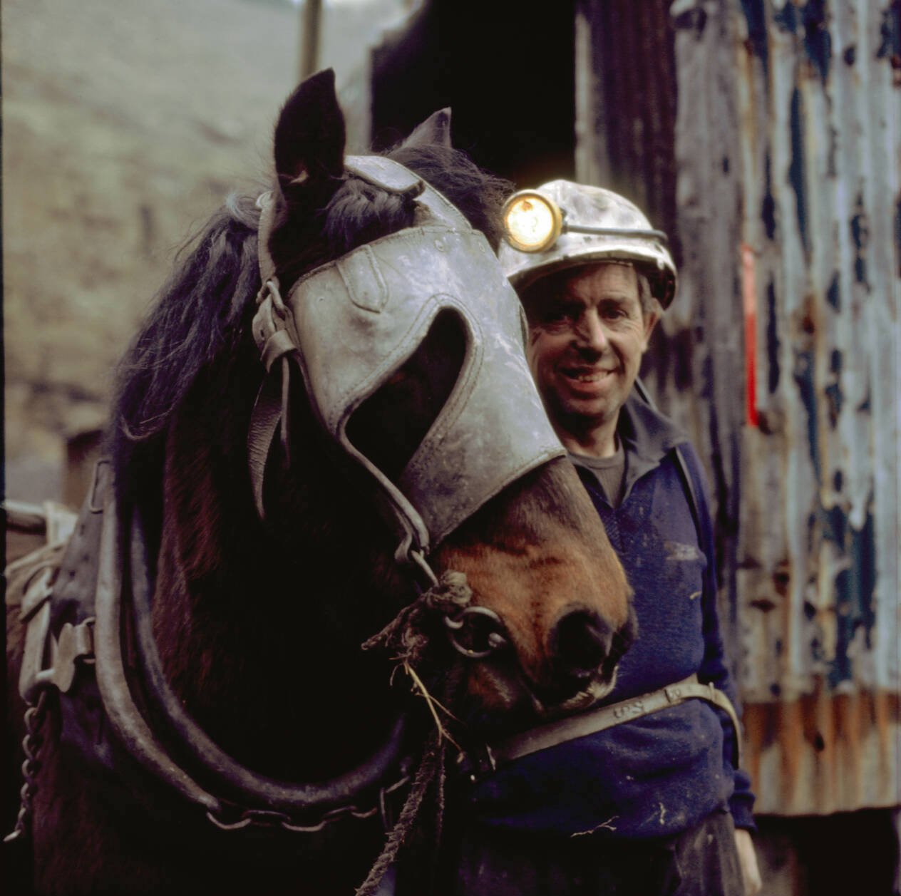 A pit pony and handler at  a mine in South Wales, 1980. David Williams/Alamy Stock Photo.