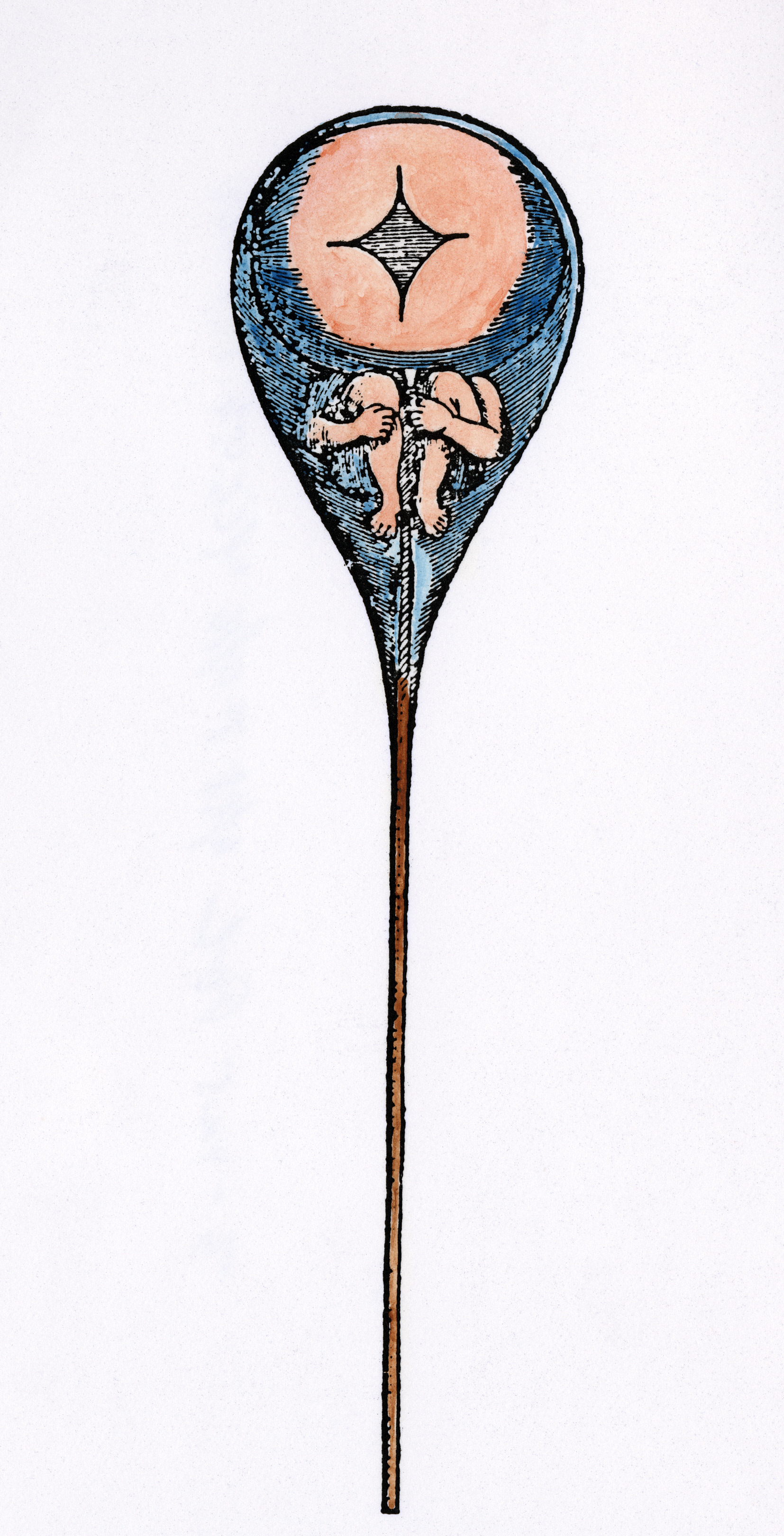 A homunculus inside human sperm, from Niklass Hartsoeker’s ‘Essay de Dioptrique’, 17th century. Granger/Bridgeman Images.
