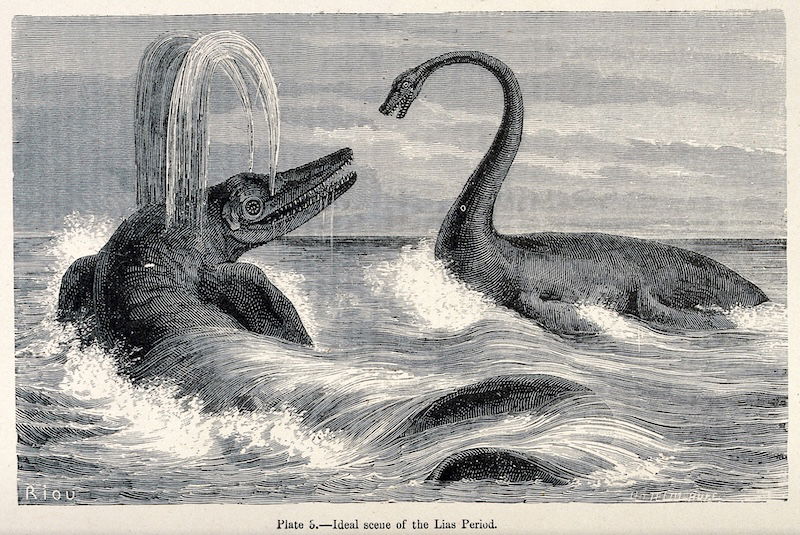 Two sauropods in the sea, Édouard Riou. Wellcome Collection. Public Domain.