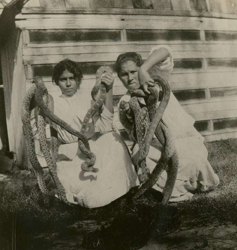 Snake hunters show off their haul, early 20th century. Texas State Library. Public Domain.