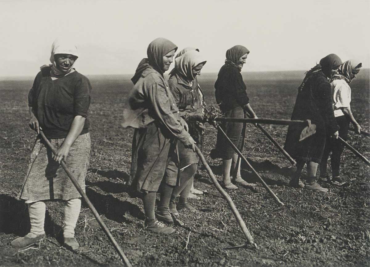 ‘Kolkhoz’ [collective farm] women working in a field, 1930s.