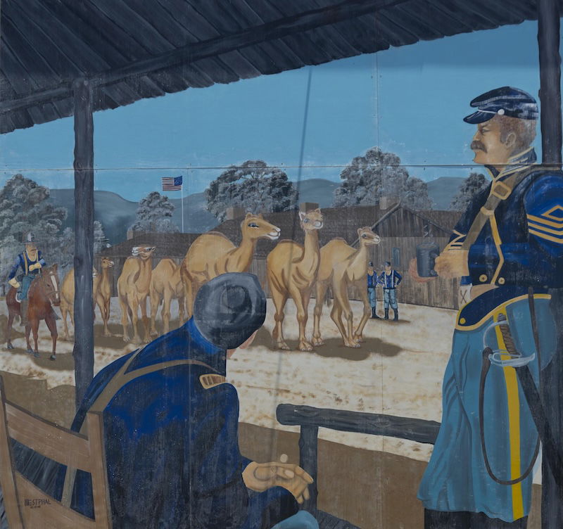 Mural depicts the arrival of camels at the U.S. Army’s Camp Verde in Texas, Carol M. Highsmith, 2014. Library of Congress. Public Domain.