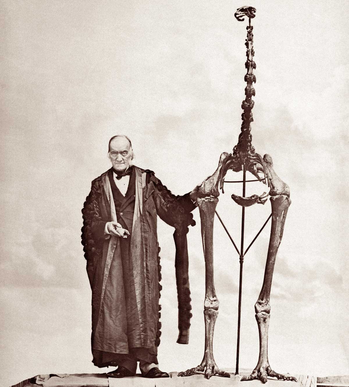 Richard Owen and a moa skeleton, 1878. Alamy.