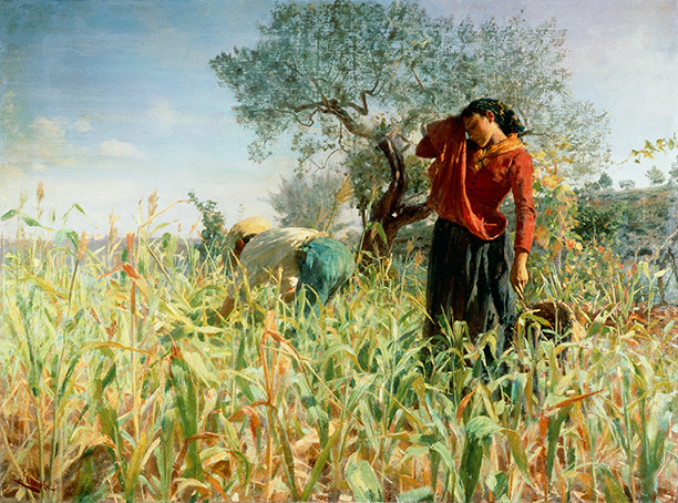 Peasants toiling over a maize crop in 'September Sun' by Giovanni Muzzioli, c.1886. Getty/Da Agostini
