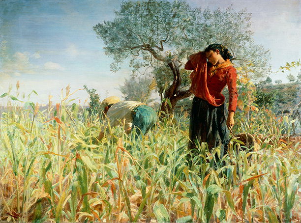 Peasants toiling over a maize crop in 'September Sun' by Giovanni Muzzioli, c.1886. Getty/Da Agostini