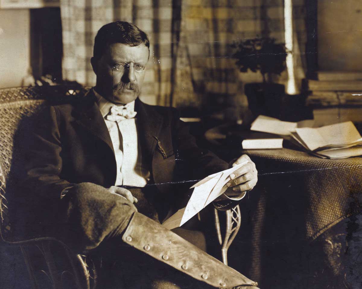 Theodore Roosevelt, c.1903 © New York Public Library/Bridgeman Images.
