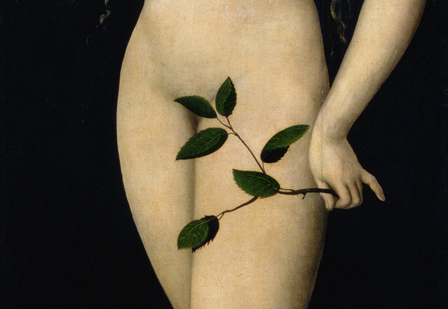 Eve (detail), panel painting in oil by Lucas Cranach the Elder, 1528.