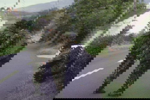 British Soldiers patrol a road leading out of the Irish Republican stronghold of Crossmaglen, September 1985