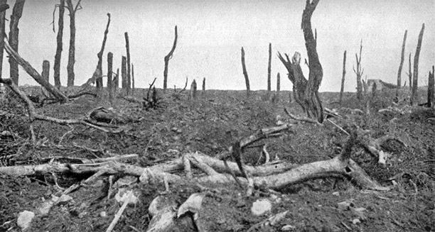 The French village of Pozières taken 28 August 1916 during the Battle of the Somme