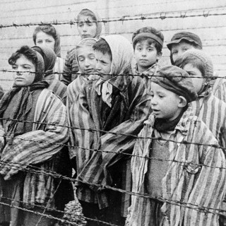 Survivors of Auschwitz