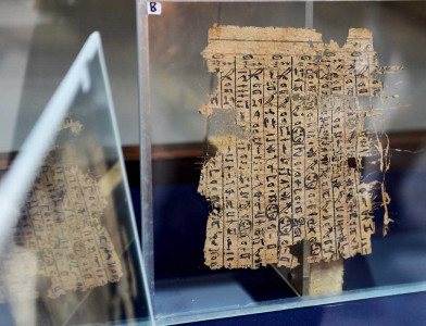 Papyrus containing the diary of Merer from day 19 to 25 (read right to left) at the Wadi al-Jarf exhibition, Cairo Museum, 2016.