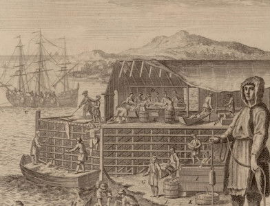 View of a stage where cod is caught, prepared and dried in Newfoundland, Marco Coltellini, 1763. ©John Carter Brown Library, Box 1894, Brown University, Providence, R.I. 02912.
