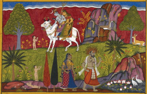 The Nandi Bull