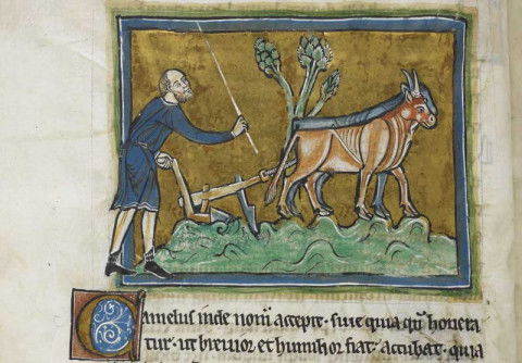Ælfric the Teacher