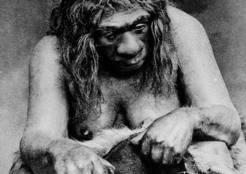 ‘Neanderthals Among Us’ by Peter Sahlins review