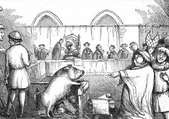 ‘Trial of a Sow and Pigs at Lavegny’, French illustration, 1849 © Getty Images.