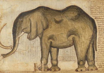 Elephant