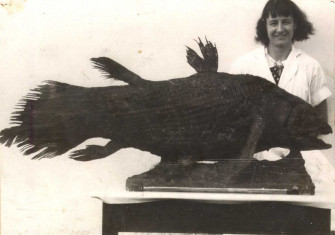 Marjorie Courtenay-Latimer and coelacanth, c.1938.