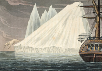 ‘A bear a bear plunging into the sea’, illustration from A Voyage of discovery ... inquiring into the probability of a North-West Passage, by John Ross, 1819. The Stapleton Collection/Bridgeman.