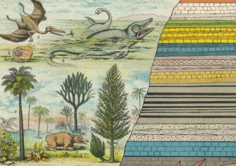 ‘Geology and Palaeontology’, from Cassell’s Natural History, 1896. Mary Evans Picture Library.