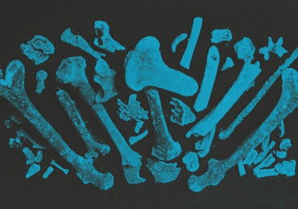 ‘King Ethelbert’s Bones Discovered in Sherborne Abbey 1925’, glass-plate slide photograph. Sherborne Abbey Library.
