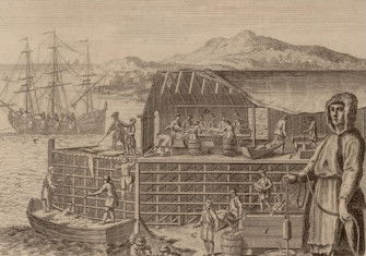 View of a stage where cod is caught, prepared and dried in Newfoundland, Marco Coltellini, 1763. ©John Carter Brown Library, Box 1894, Brown University, Providence, R.I. 02912.