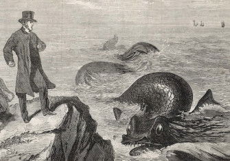 ‘Startling appearance of a monster sea-serpent off Kilkee on the Irish coast (from a sketch by an eye-witness)’, from the Days’ Doings, 21 October 1871.