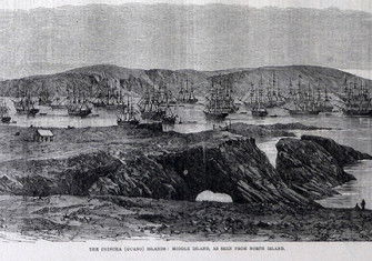 Massed shipping in the Chincha Islands in 1863, at the height of guano extraction