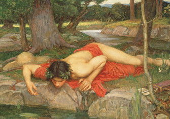 narcissus_cont.jpg