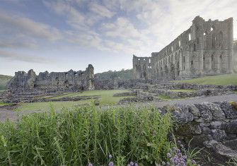 The ruins of Rievaulx Abbey on the River Rye in North Yorkshire by WyrdLight.com. Licensed under CC BY-SA 3.0 via Wikimedia Commons.