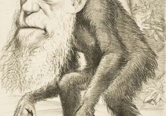 darwin_ape.jpg