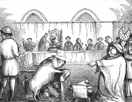 ‘Trial of a Sow and Pigs at Lavegny’, French illustration, 1849 © Getty Images.