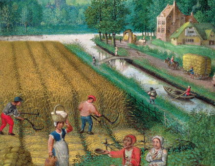 Harvesting, ploughing and sowing, from a book of hours, Flemish, c.1540.