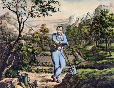 The Gardener of St Helena, French, 19th century.