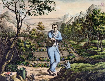 The Gardener of St Helena, French, 19th century.