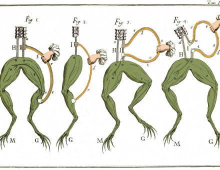 Galvani’s frog experiments, 18th-century illustration.