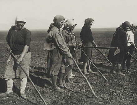 kolkhoz [collective farm] women working in a field, 1930s.